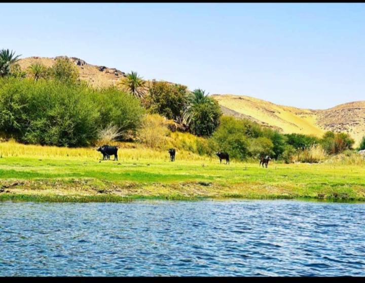 Hotel Nuba Narty Aswan Zewnętrze zdjęcie